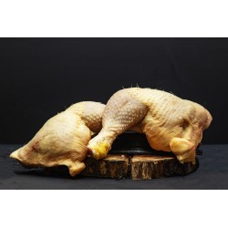 Traseros de Pollo